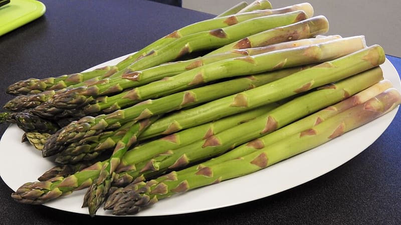 Asparagus plant