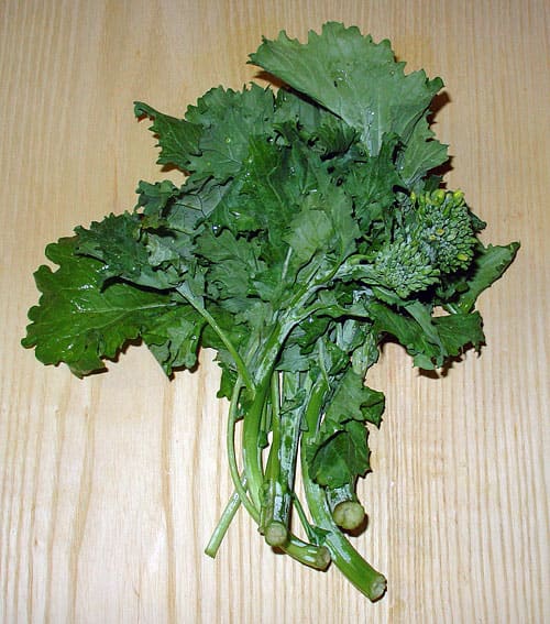 Broccoli Raab plant