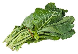 Collard Green plant