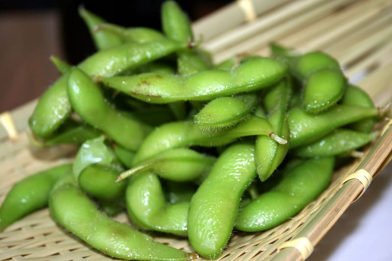 Edamame plant
