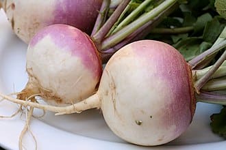 Turnip plant